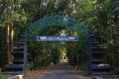Alas Purwo National Park - raincitystudios.com