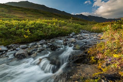 Alaska Photography Tours | Alaska Photo Treks - wintechmobiles.com