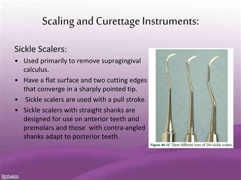 alat scaling - elchoricharrua.com