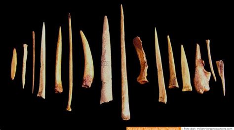 Alat Tulang Di Indonesia - wintechmobiles.com