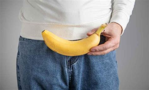 Alat Vital Apa Saja - muktibox.com