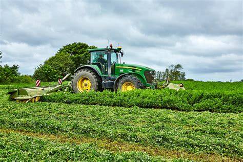 Alfalfa: Versatile Forage Crop - raincitystudios.com