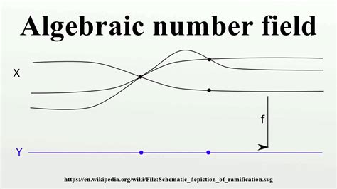 Algebraic number field - wintechmobiles.com