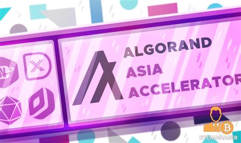 Algorand Names 11 Blockchain Startups For Its First Accelerator Program