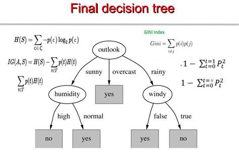 Algorithms for Decision Tree Construction - Springer - coolestguyplanet.net