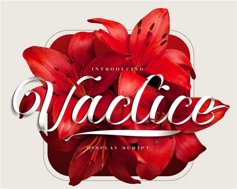 Alit Design - muktibox.com