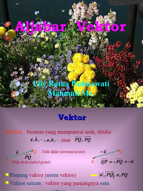 Aljabar Vektor: Dasar dan Penerapan | PDF | Metode - wintechmobiles.com