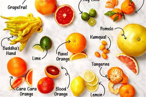 All About Citrus Fruits - How to Buy, Store, and Use … - raincitystudios.com