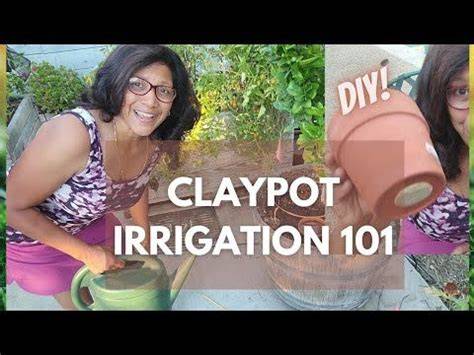 All About Clay Pot Irrigation + DIY Olla! And FAQs! - raincitystudios.com