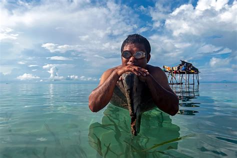 All About The Bajau Tribe, The Freedivers Of Indonesia - wintechmobiles.com