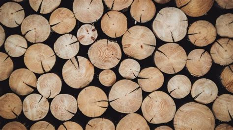 All About Timber Framing: History, Characteristics, Joinery - wintechmobiles.com