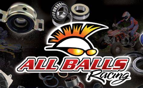 All Balls Racing - The #1 Source For Bearings, Seals, … - raincitystudios.com