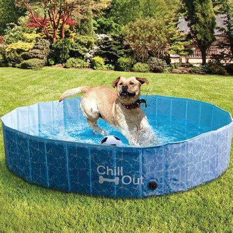 ALL FOR PAWS Chill Out Splash and Fun Dog Pool, …