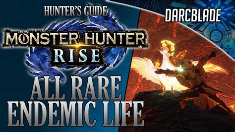 ALL RARE ENDEMIC LIFE : MONSTER HUNTER RISE - YouTube