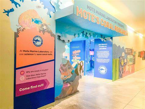 All Research Programs | Mote Marine … - raincitystudios.com
