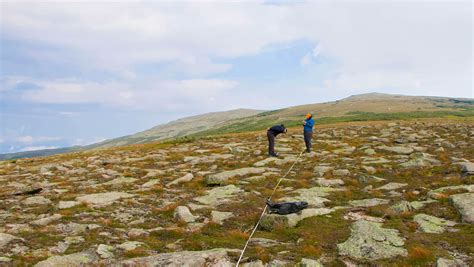 Alpine plant ecology | Department of Environmental Sciences ... - muktibox.com