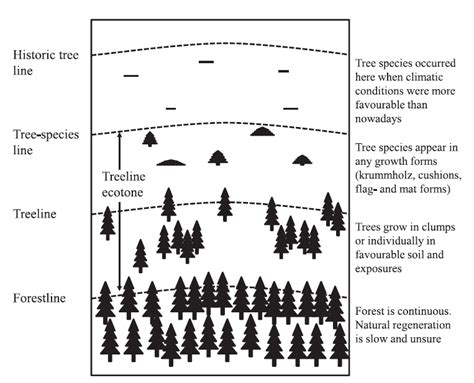 Alpine treelines as ecological indicators of global climate change: Who ... - muktibox.com