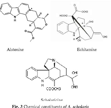 Alstonia scholaris R.Br. (Apocynaceae): Phytochemistry and pharmacology ... - raincitystudios.com