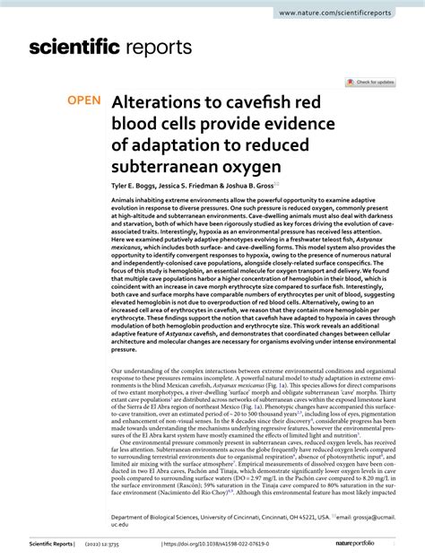 Alterations to cavefish red blood cells provide evidence of adaptation ... - muktibox.com
