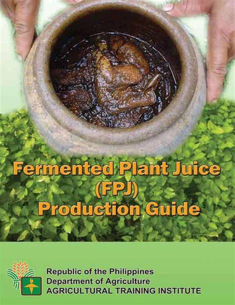 Alternative Uses For Fermented Plant Fertilizer - raincitystudios.com