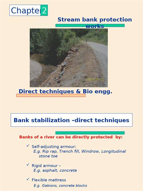 Alternatives for Bank Stabilization Revised Report.PDF - raincitystudios.com