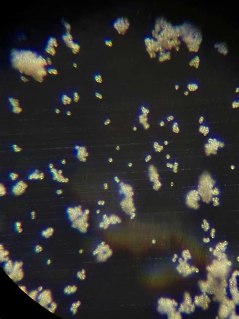 Amateur Microscopy | I take reflected light images of micrometeorites ... - wintechmobiles.com