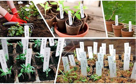 Amazon Best Sellers: Best Plant Labels - raincitystudios.com