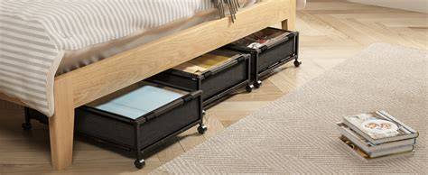 Amazon Best Sellers: Best Under-Bed Storage - raincitystudios.com