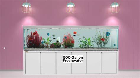 Amazon.com: 500 Gallon Fish Tank - raincitystudios.com