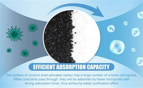 Amazon.com: Activated Charcoal For Water Purification - raincitystudios.com