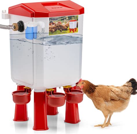 Amazon.com: Automatic Waterer Poultry - raincitystudios.com