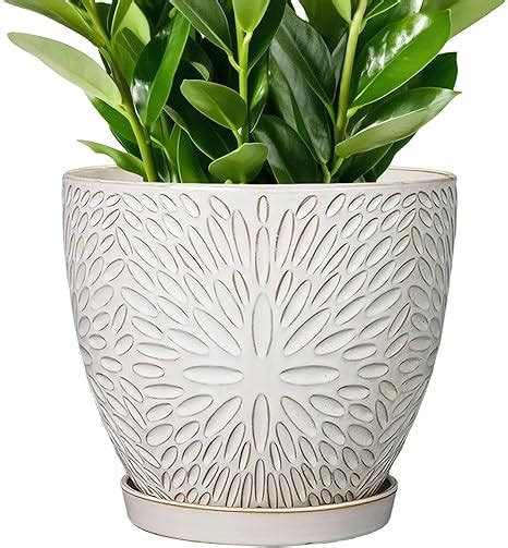 Amazon.com: Ceramic Planter - muktibox.com