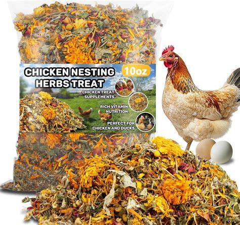 Amazon.com: Chicken Feed - raincitystudios.com