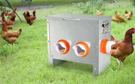 Amazon.com: Chicken Feeder - raincitystudios.com