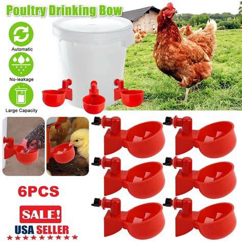 Amazon.com: Chicken Waterer Cups - raincitystudios.com