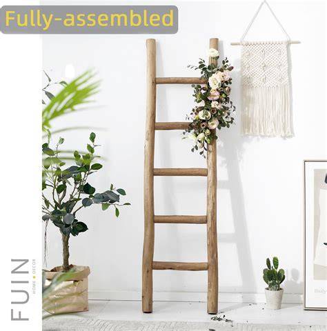 Amazon.com: Decorative Ladders For Plants - raincitystudios.com