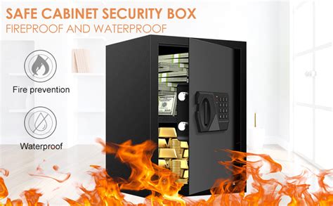 Amazon.com: Fire Proof Safes - raincitystudios.com