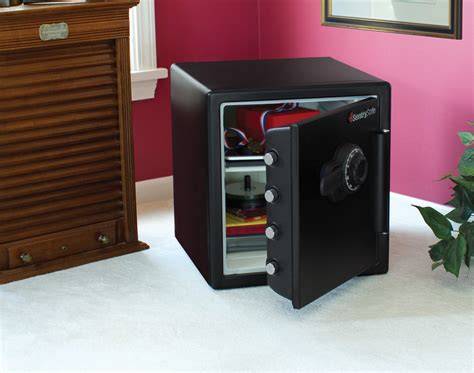 Amazon.com: Fireproof Safes - raincitystudios.com