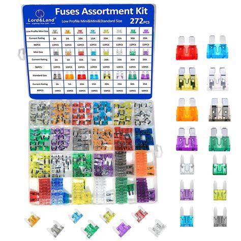 Amazon.com: Fuse Assortments - Fuses & Accessories: Automotive - raincitystudios.com