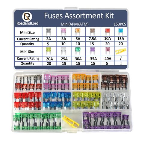 Amazon.com: Fuses - Fuses & Accessories: Automotive - raincitystudios.com