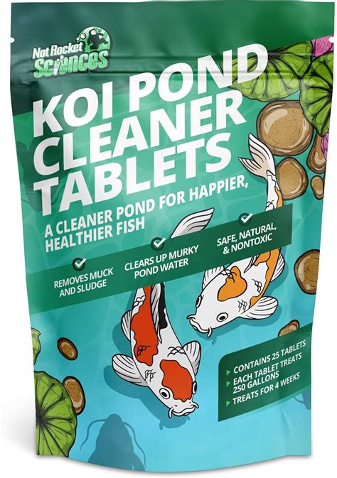 Amazon.com: Koi Pond - raincitystudios.com