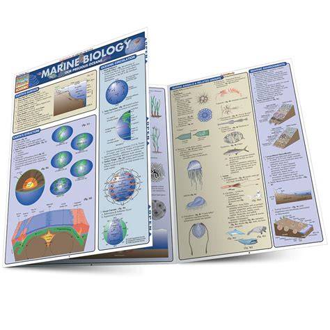 Amazon.com: Marine Biology - Teen & Young Adult Books: Books - raincitystudios.com