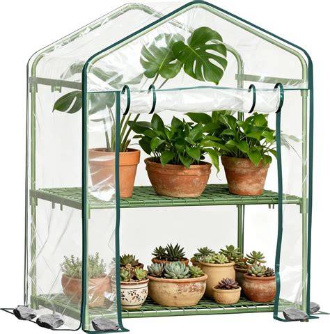 Amazon.com: Mini Greenhouses - raincitystudios.com