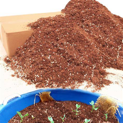 Amazon.com: Potting Soil - raincitystudios.com