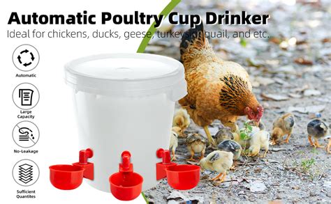 Amazon.com: Poultry Water Cups - raincitystudios.com
