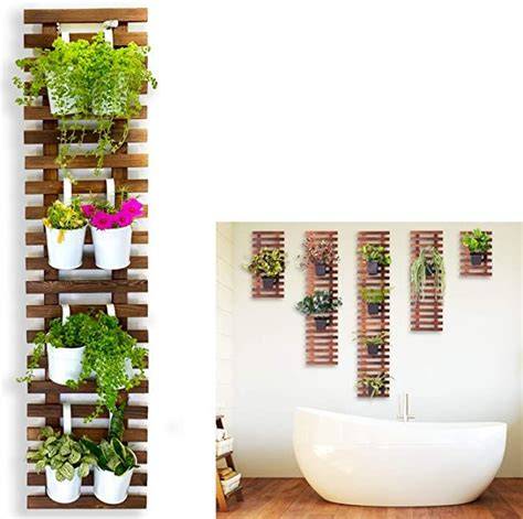 Amazon.com: ShopLaLa Wall Planter for Climbing … - raincitystudios.com