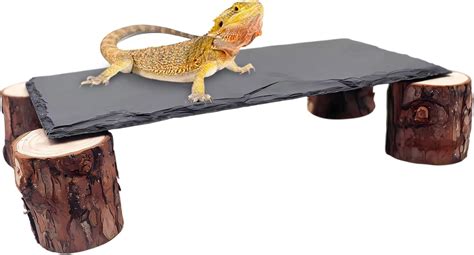 Amazon.com: Slate Rocks For Reptiles - muktibox.com
