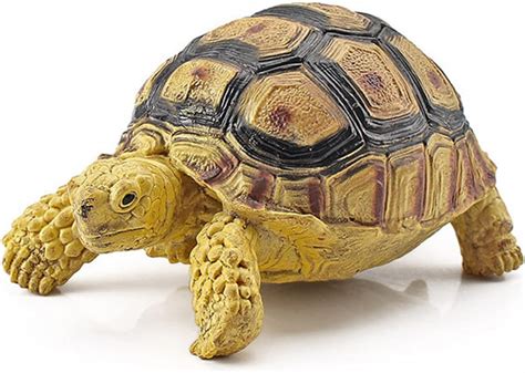 Amazon.com: Tortoise Statue - muktibox.com