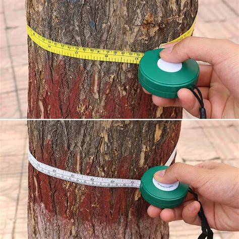 Amazon.com: Tree Diameter Tape - raincitystudios.com