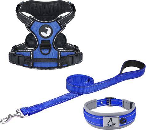 Amazon.com : Occupiedpet Dog Harness and Leash Set, Reflective … - raincitystudios.com